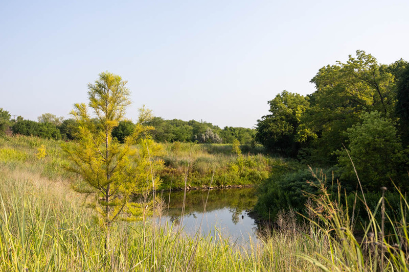 MHGS_Snapshot_002012.jpg