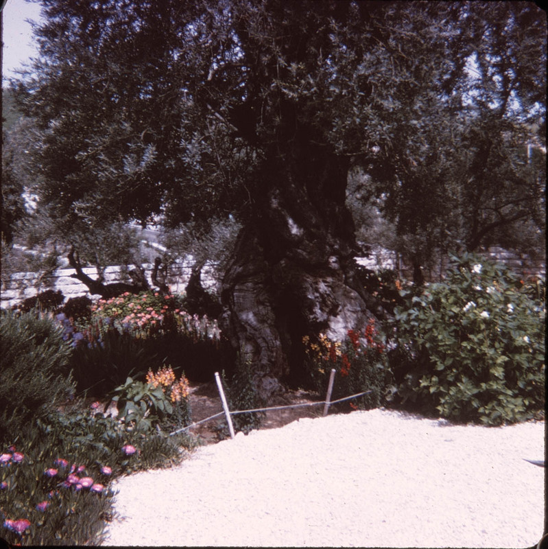 MHGS_Leach_1187.jpg