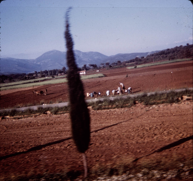MHGS_Leach_0982.jpg