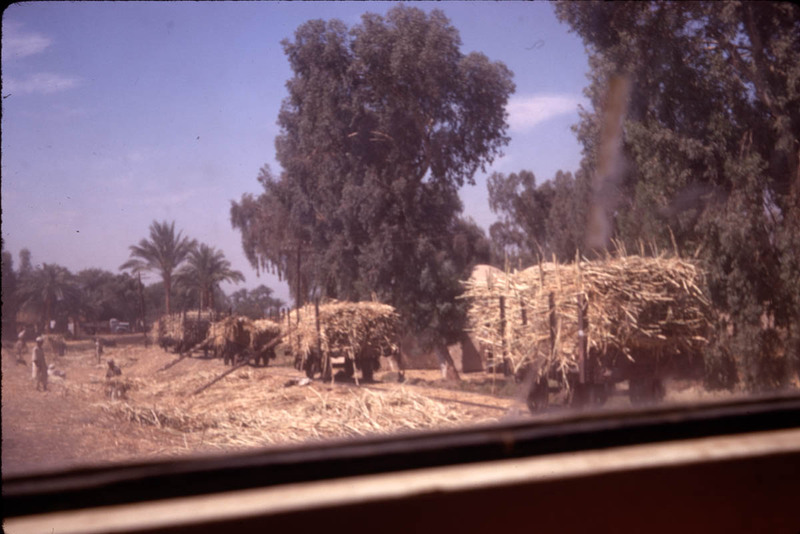 MHGS_Leach_1119.jpg