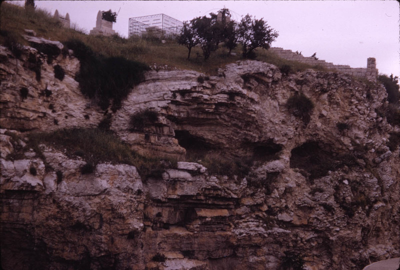 MHGS_Leach_1171.jpg