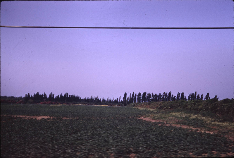 MHGS_Leach_1162.jpg