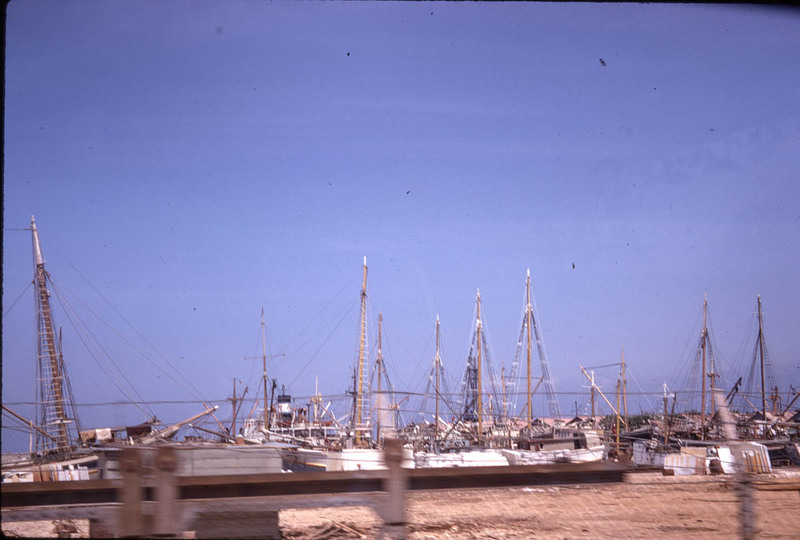 MHGS_Leach_1079.jpg