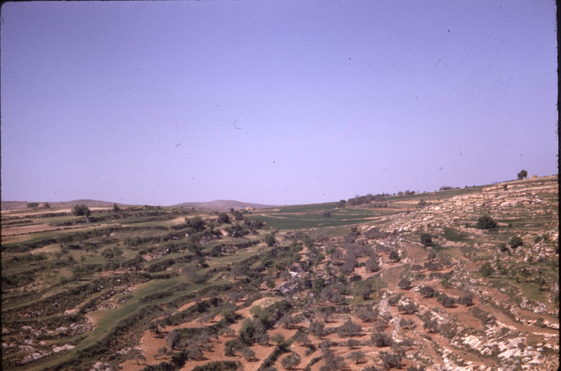 MHGS_Leach_1165.jpg
