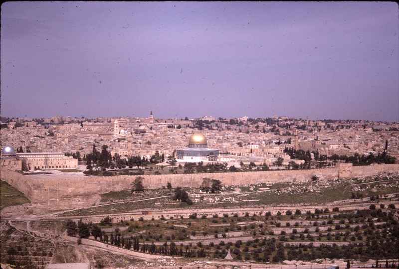 MHGS_Leach_1185.jpg