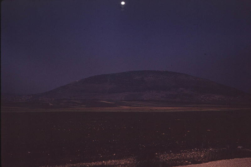 MHGS_Leach_1157.jpg