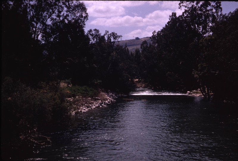 MHGS_Leach_1150.jpg
