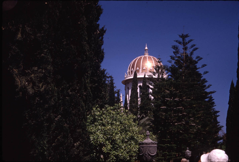 MHGS_Leach_1140.jpg