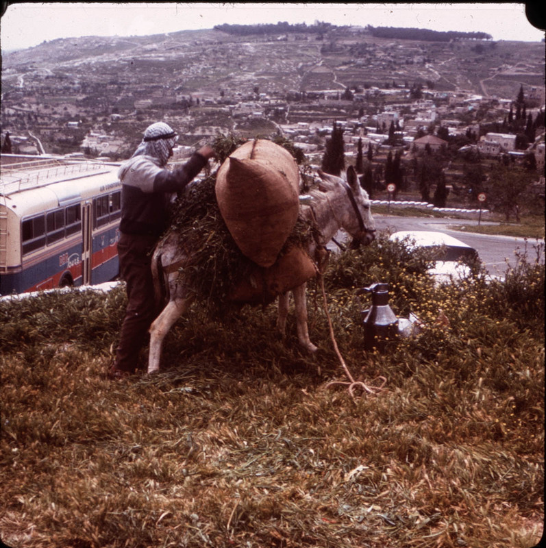 MHGS_Leach_1174.jpg