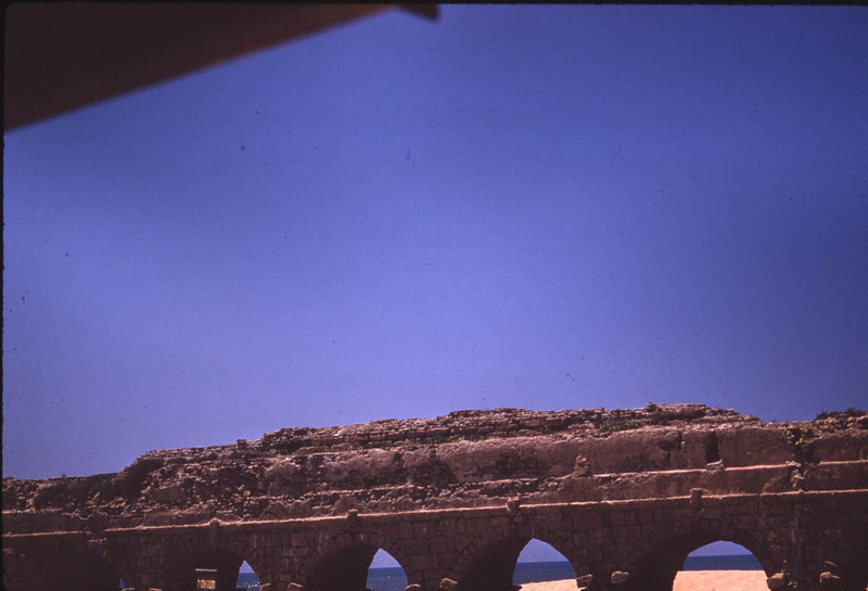 MHGS_Leach_1137.jpg