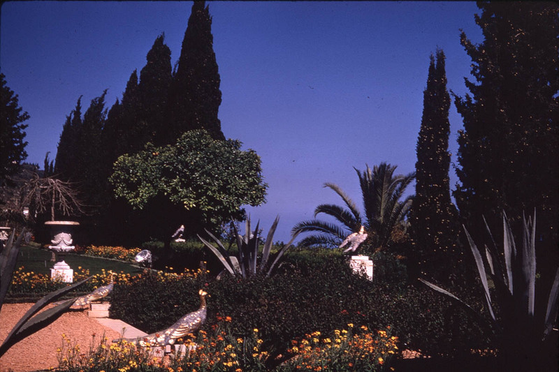 MHGS_Leach_1141.jpg