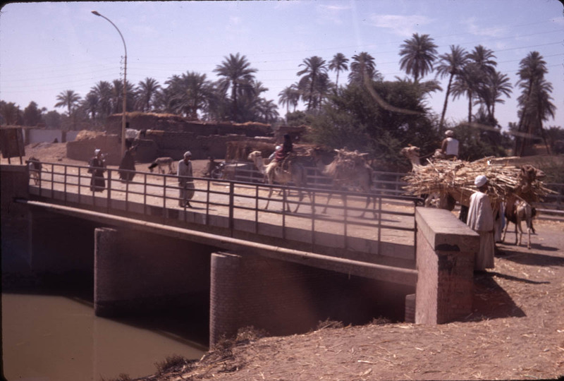 MHGS_Leach_1120.jpg