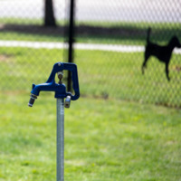 Valley Center Dog Park 2.jpg