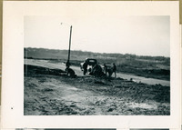 MHGS_Leach_F_053.jpg