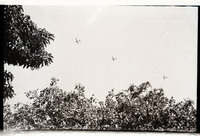 MHGS_Basore_Album _B_FP_174.jpg