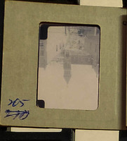 MHGS_Cotton_0743_slide.jpg