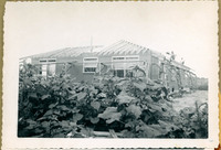 MHGS_Leach_F_021.jpg