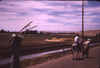 MHGS_Leach_1115.jpg