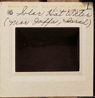 MHGS_Leach_1158_slide.jpg