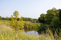 MHGS_Snapshot_002012.jpg