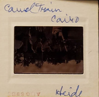 MHGS_Leach_1035_slide.jpg