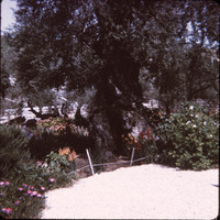 MHGS_Leach_1187.jpg