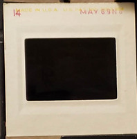 MHGS_Leach_1116_slides.jpg