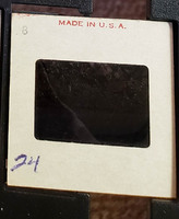 MHGS_Cotton_0595_slide.jpg