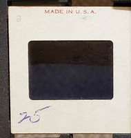 MHGS_Cotton_0596_slide.jpg