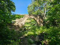 MHGS_Snapshot_005111.jpg
