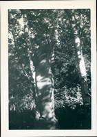 MHGS_Leach_2890.jpg