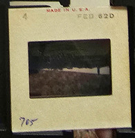 MHGS_Cotton_1061_slide.jpg