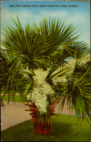 MHGS_Leach_A07a1.jpg