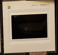 MHGS_Leach_1141_slide.jpg