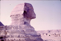 MHGS_Leach_1024.jpg