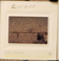 MHGS_Leach_1130_slide.jpg