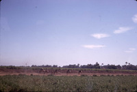 MHGS_Leach_1121.jpg