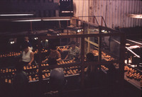 MHGS_Leach_1161.jpg