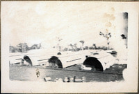 MHGS_Leach_2450.jpg