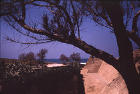 MHGS_Leach_1133.jpg