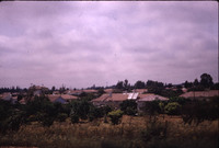 MHGS_Leach_1158.jpg