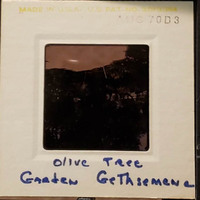 MHGS_Leach_1187_slide.jpg