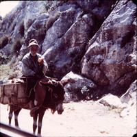 MHGS_Leach_1088.jpg