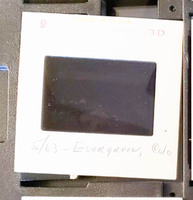 MHGS_Leach_0306_slide.jpg
