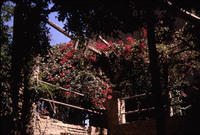 MHGS_Leach_1048.jpg