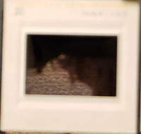 MHGS_Leach_1129_slide.jpg