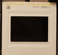 MHGS_Leach_1149_slide.jpg