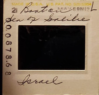 MHGS_Leach_1153_slide.jpg