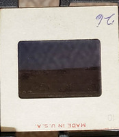 MHGS_Cotton_0597_slide.jpg
