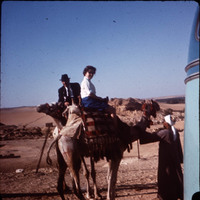 MHGS_Leach_1037.jpg